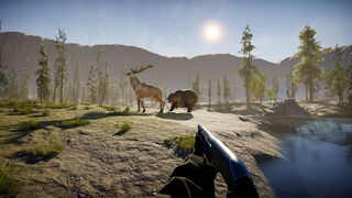 Скриншот 7 к игре The Lost Hunter