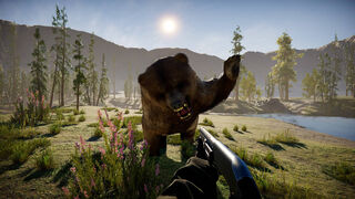 Скриншот 8 к игре The Lost Hunter