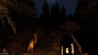 Скриншот 5 к игре Last Sighting