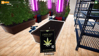 Weed Lord Simulator