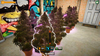 Weed Lord Simulator