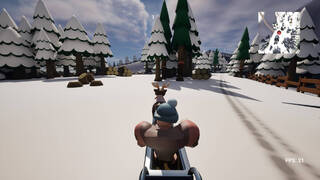 Reindeer Racing