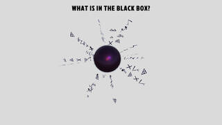 What is in the Black Box?