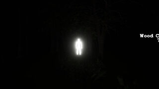 Скриншот 7 к игре Inside The Forest