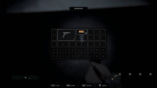 Скриншот 5 к игре The Ninth Forset