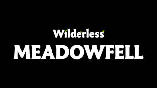 Скриншот 6 к игре Wilderless: Meadowfell
