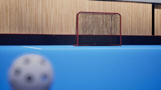 Скриншот 5 к игре Floorball Practice