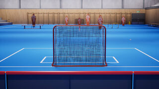 Скриншот 7 к игре Floorball Practice