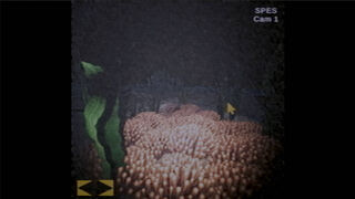 Скриншот 5 к игре Through The Murky Water