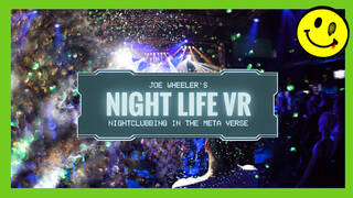 Night Life VR - Nightclubbing in the Metaverse