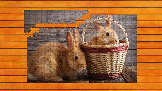 Paw & Hop Jigsaw Quest