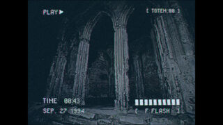 Скриншот 5 к игре Lost Footage : Sound In The Silence