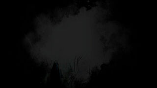 Скриншот 5 к игре Sinister Soul: The Cursed Forest