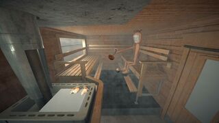 Скриншот 5 к игре Saunageddon