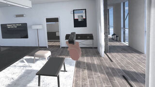 Скриншот 5 к игре Furniture Toss
