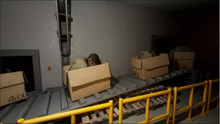 Скриншот 5 к игре Back rooms: The old Watcher