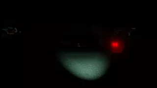 Скриншот 5 к игре Peril in the Pines