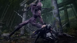 Скриншот 7 к игре NINJA GAIDEN 4