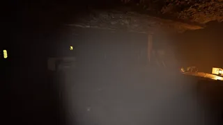 Скриншот 7 к игре Forest - The Call For Help