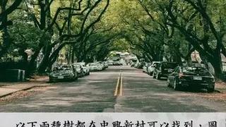 Скриншот 7 к игре 雅里中興 (中興新村地方創生類型遊戲)