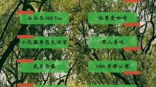 Скриншот 8 к игре 雅里中興 (中興新村地方創生類型遊戲)
