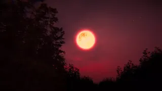 Скриншот 5 к игре Deer Head
