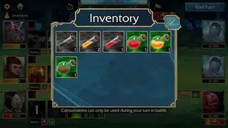 Скриншот 7 к игре Ashcrown Gauntlet