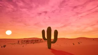 Cactus Simulator Remake