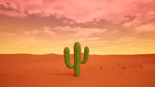 Cactus Simulator Remake