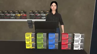 Diecast Shop Simulator