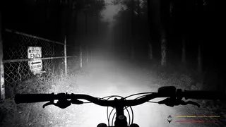 Скриншот 5 к игре The Last Ride Home
