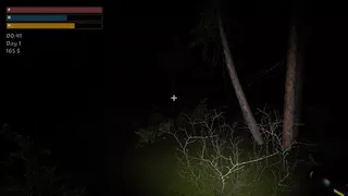 Скриншот 7 к игре Pohinki Simulator