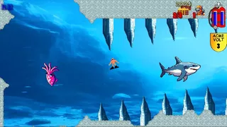 Shark's Treasures Adventure