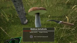 Mushroom Hunter World