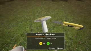 Скриншот 6 к игре Mushroom Hunter World