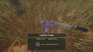 Скриншот 8 к игре Mushroom Hunter World