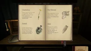 Скриншот 8 к игре Necrologium