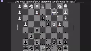 Chess Visualized