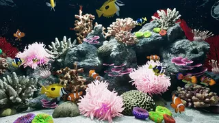 Sea Aquarium Screensaver