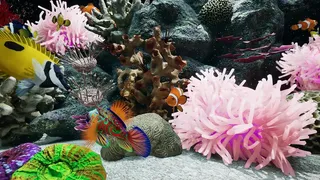 Скриншот 8 к игре Sea Aquarium Screensaver