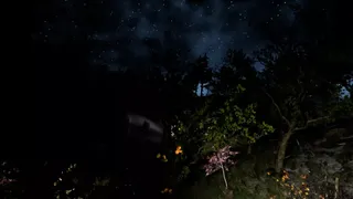 Скриншот 5 к игре 寻踪