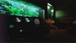 Скриншот 5 к игре EarWorm