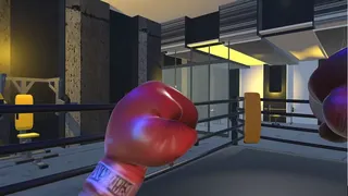 Скриншот 6 к игре Shuruka Boxing