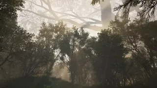 Скриншот 8 к игре Calming Forest