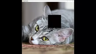 Скриншот 5 к игре hgmGame-cat