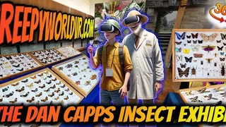Скриншот 5 к игре Tony's Creepy Crawly Zoo 2.0