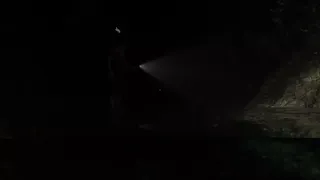Скриншот 6 к игре Creatures of the Night