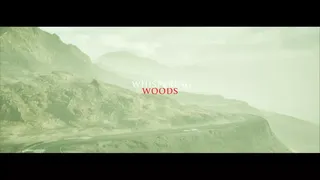 Скриншот 5 к игре The Whispering Woods