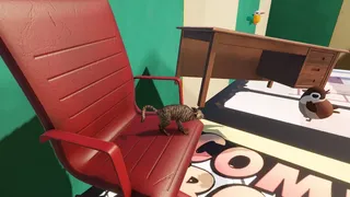Скриншот 5 к игре CatShift