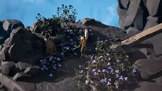 Ancestral Harvest